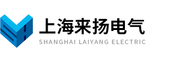 上海來揚電氣科技有限公司